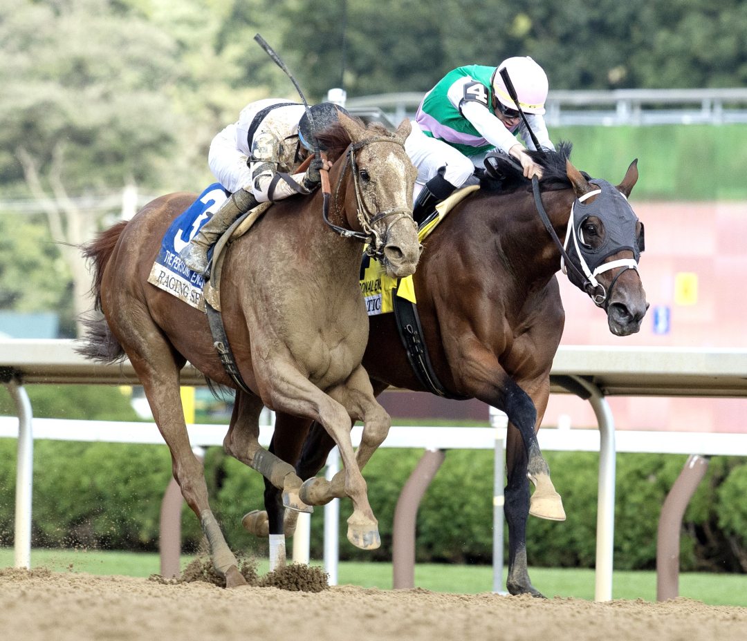 Cox lining up his ducks for Breeders' Cup